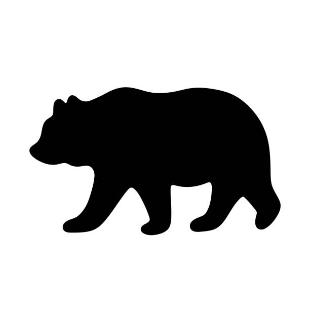 bildbanksillustrationer, clip art samt tecknat material och ikoner med björn siluett. vektorillustration - björn