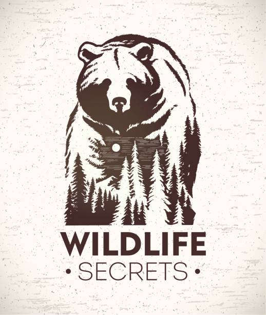 Bear symbolizing wildlife Bear, vector Illustration of a combined with a landscape symbolizing wildlife. bear stock illustrations