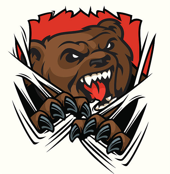 Bear Tear This bear mascot tear design was create with all separate elements. Great for any school or sport based design. bear growling stock illustrations