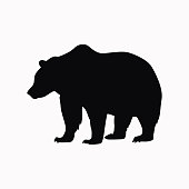 istock Bear vector  icon. 931249100