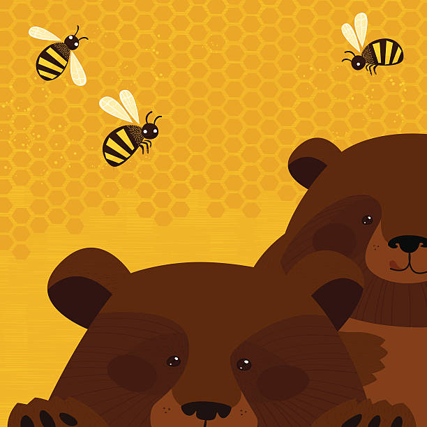 Bears and honey vector art illustration