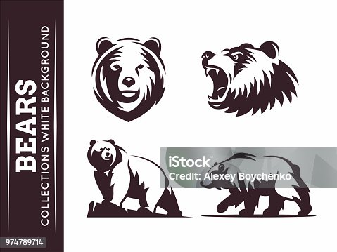istock Bears collections 974789714