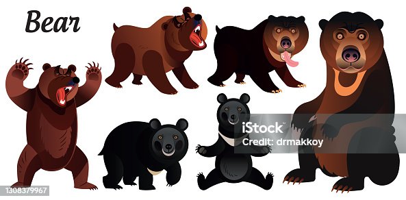 istock Bears 1308379967