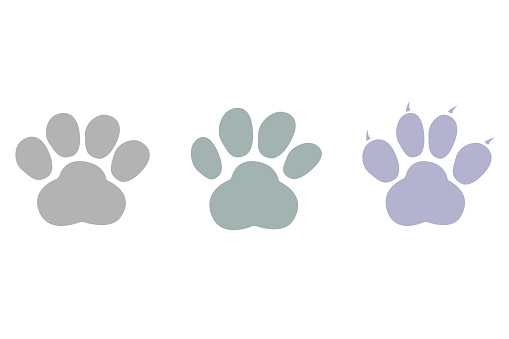 beast footprint icon on white background, vector illustration
