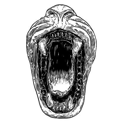 Beast open mouth with fangs and teeth. Monster maw jaw, werewolf or Carnivore animals. Vector.