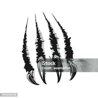 istock Beast scratch claw tear off paper vector 1002508238