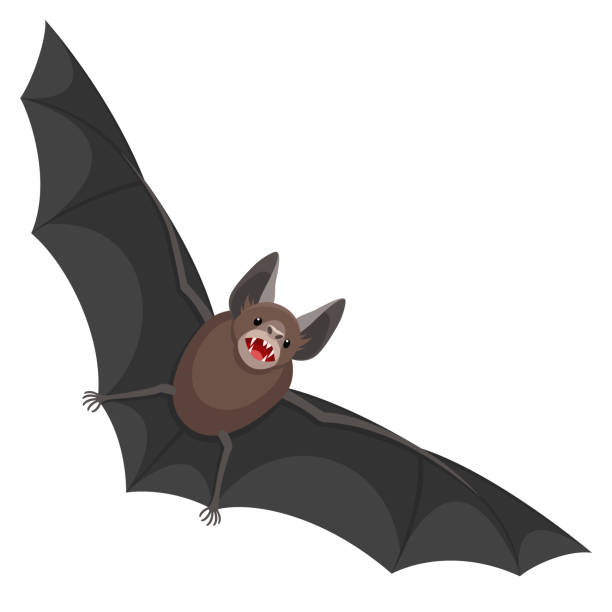 Beats Illustrationen föreställer en fladdermus bat stock illustrations
