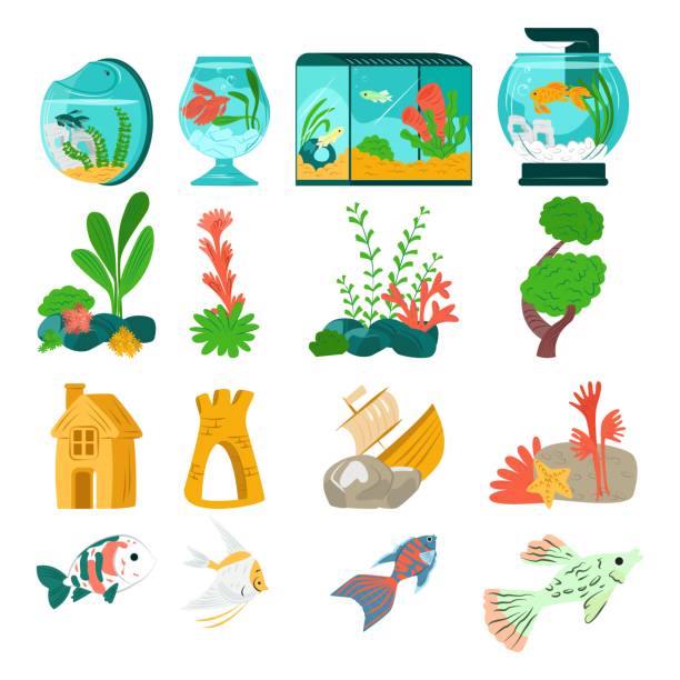 Beautiful aquarium set fish, vector illustration. Aquatic collection designer fauna in glass tank. Marine flora natural world. vector art illustration
