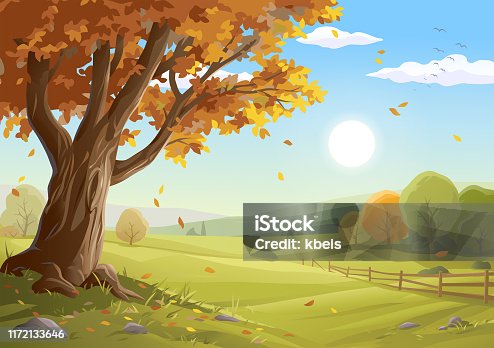 istock Beautiful Autumn Landscape 1172133646