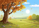 Vector illustration of a beautiful rural landscape with a big colorful tree and autumn leaves in the foreground, bushes, a fence, hills, green meadows and a blue sunny morning sky in the background. Illustration with space for text. Art on layers and easily edited and scaled.