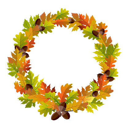 Beautiful autumn wreath of yellowed maple leaves, oak and acorns. Copy space.