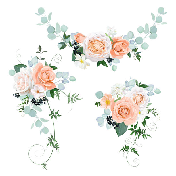 3 beautiful bouquets with pastel roses 3 beautiful bouquets with pastel roses bouquet illustrations stock illustrations
