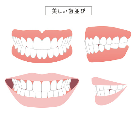 Beautiful dentition set illustration