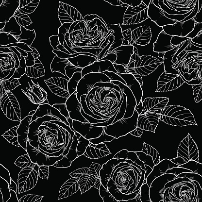 Beautiful monochrome black and white seamless pattern with roses, leaves. Hand drawn contour lines.