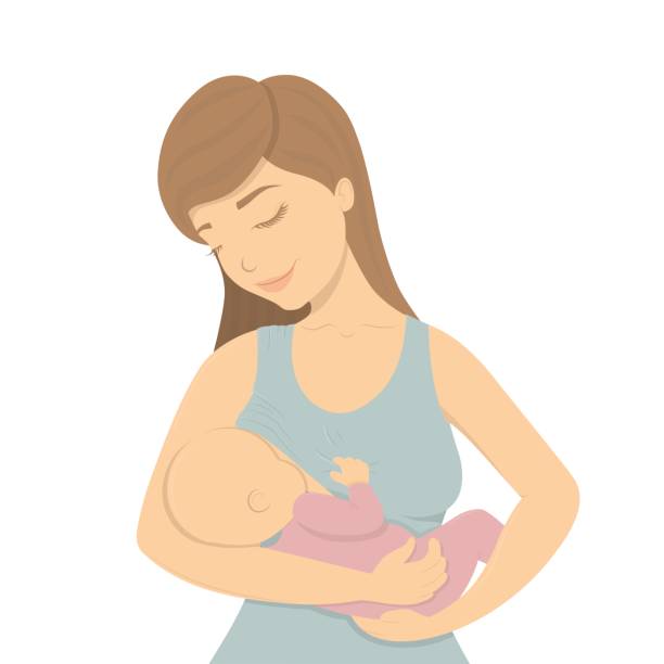 Beautiful mother breastfeeding. Beautiful mother breastfeeding her baby child holding him in her caring hands. Cartoon lactation vector illustration. mother clipart stock illustrations