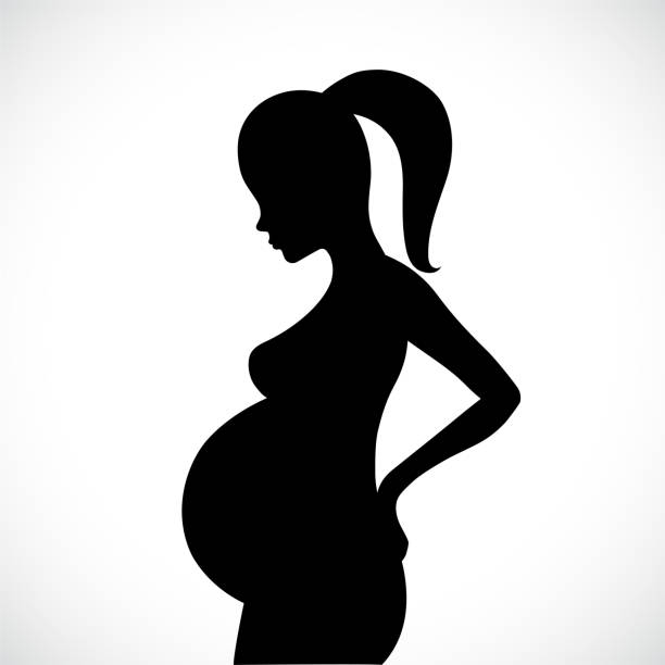 Beautiful pregnant woman silhouette Beautiful pregnant woman silhouette. Vector illustration pregnant silhouettes stock illustrations