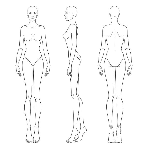 Beautiful slim woman in different poses, vector illustration. Nine head fashion figure template. Female body, front, side and back views. Beautiful slim woman in different poses, vector illustration. Nine head fashion figure template. Female body, front, side and back views. fashion croquis stock illustrations