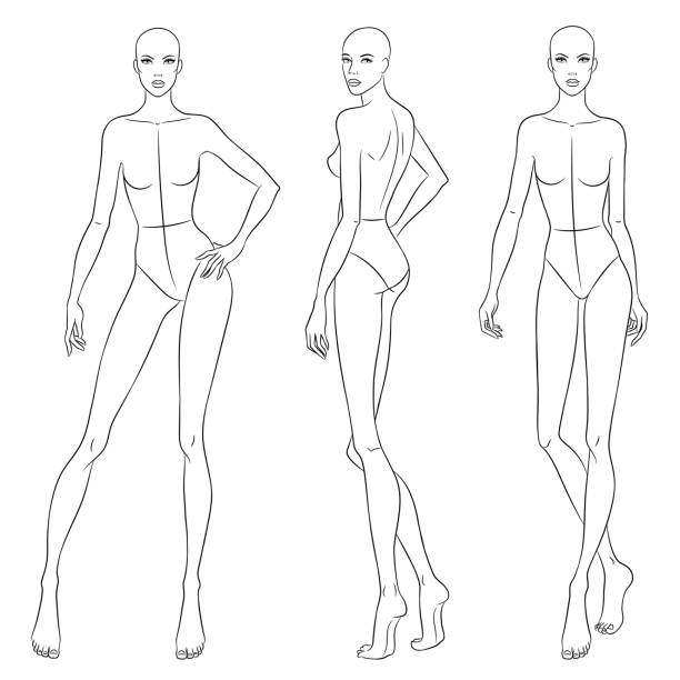 Beautiful slim woman in different poses, vector illustration. Nine head fashion figure template. Female body, front, side and back views. Beautiful slim woman in different poses, vector illustration. Nine head fashion figure template. Female body, front, side and back views. fashion croquis stock illustrations