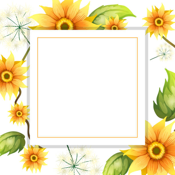 Sunflower Border Frame Clip Art Illustrations, Royalty