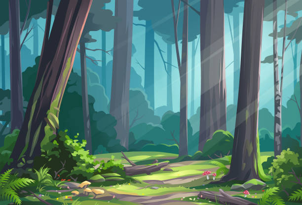 Beautiful Sunlit Forest Vector illustration of a beautiful sunlit forest glade with bushes, ferns, mushrooms and flowers. forest stock illustrations