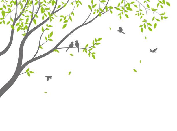 鳥と美しい木の枝のシルエット壁紙ステッカーの背景 - wood texture点のイラスト素材／クリップアート素材／マンガ素材／アイコン素材