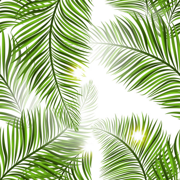 美しい熱帯の夏のシームレス パターン - 木漏れ日点のイラスト素材／クリップアート素材／マンガ素材／アイコン素材