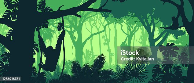 istock Beautiful vector landscape of a rainforest jungle with orangutan monkeys and lush foliage in green colors. 1286916781