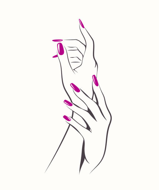 Beautiful woman hands with elegant purple nail polish manicure Nails art salon vector illustration nail salon stock illustrations