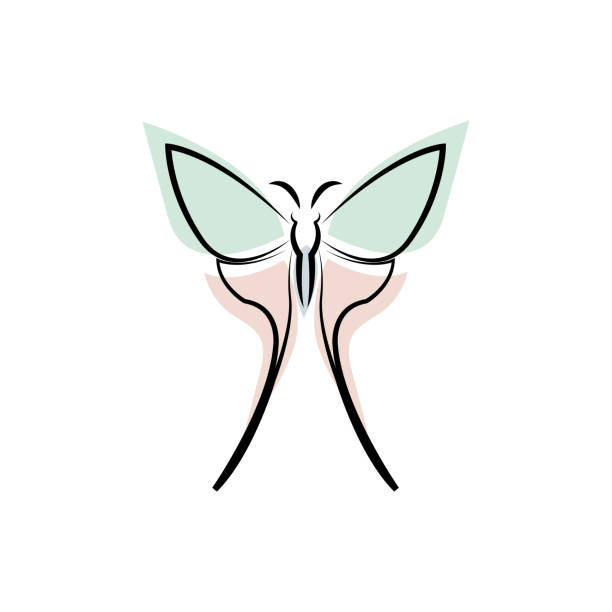Beauty Flying Butterfly Logo with simple minimalist line art monoline style Beauty Flying Butterfly Logo with simple minimalist line art monoline style fancy letter b silhouettes stock illustrations