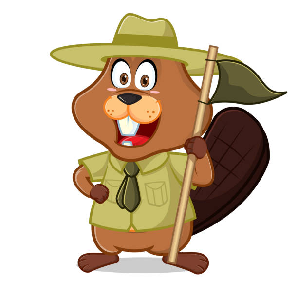 作為童子軍或護林員的海狸 - rangers 幅插畫檔、美工圖案、卡通及圖標