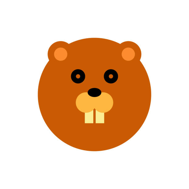 beaver face Cartoon