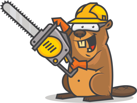 Beaver holds chainsaw