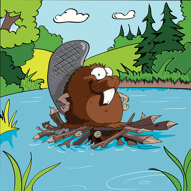 бобр - beaver dam cartoon stock illustrations.