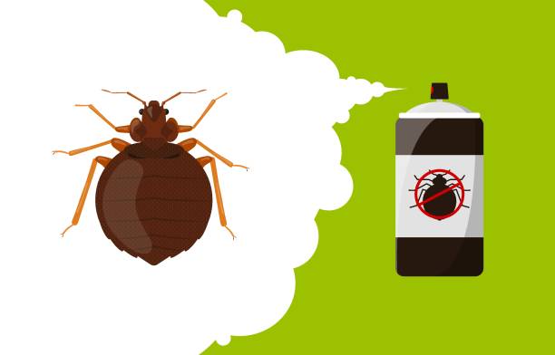 Bedbug repellent banner concept. Insect repellent aerosol. Pest, insect and bug control spray bottle Bedbug repellent banner concept. Insect repellent aerosol. Pest, insect and bug control spray bottle. Vector cartoon illustration bed bug treatment stock illustrations