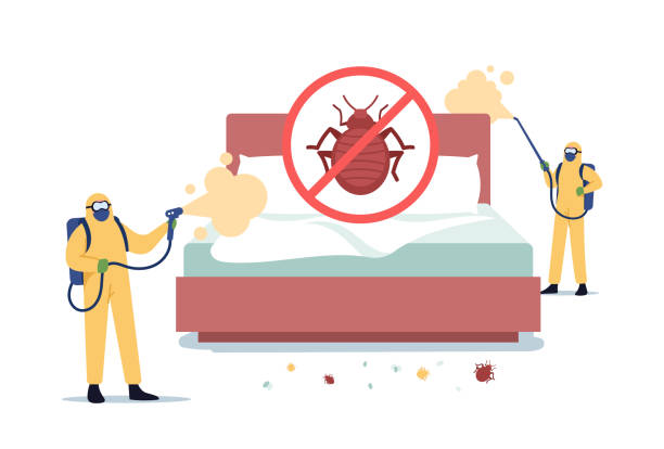 Bedbugs Extermination Professional Service. Pest Control Exterminators Doing Room Disinsection against Bed Bugs Bedbugs Extermination Professional Service. Pest Control Doing Room Disinsection against Bed Bugs. Exterminators Characters in Hazmat Suits Spraying Toxic Liquid. Cartoon People Vector Illustration prevention of bed bugs stock illustrations