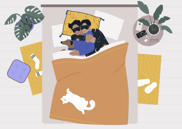 A bedroom morning scene, a young gay couple spooning in bed with their pets, a dog and a cat A bedroom morning scene, a young gay couple spooning in bed with their pets, a dog and a cat gay spooning stock illustrations