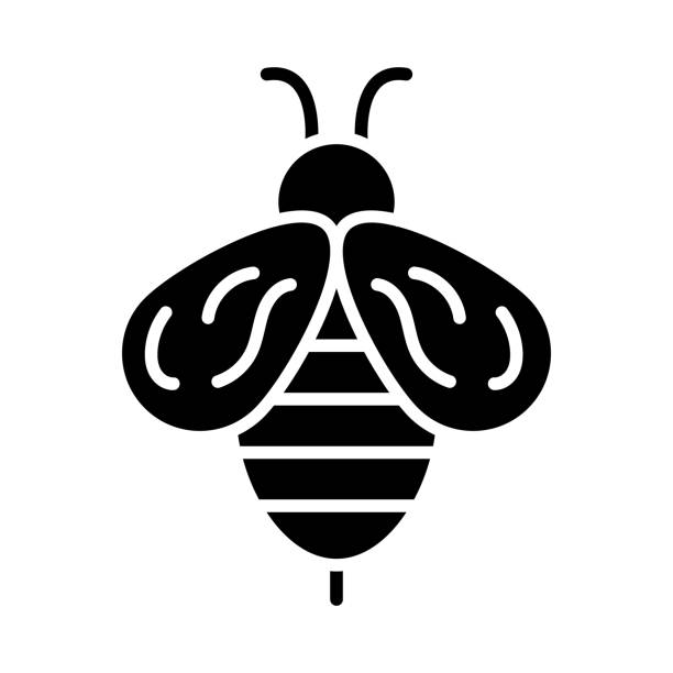 Bee Glyph Icon Animal Vector This vector image shows a bee in glyph icon design. It is isolated on a white background. bee silhouettes stock illustrations