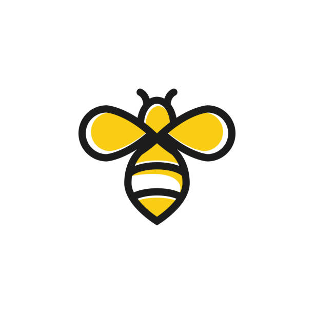 stockillustraties, clipart, cartoons en iconen met bijen honing grafisch ontwerp sjabloon vectorillustratie - wespen