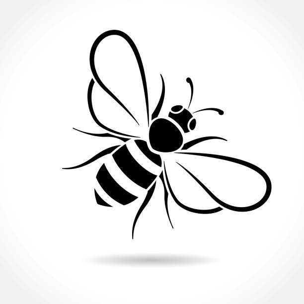 bee icon on white background Illustration of bee icon on white background bee silhouettes stock illustrations