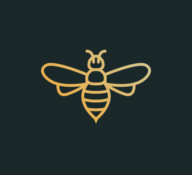 Bee icon vector honey logo illustration. Simple bee icon outline art bumble Bee icon vector honey logo illustration. Simple bee icon outline art bumble. bee silhouettes stock illustrations