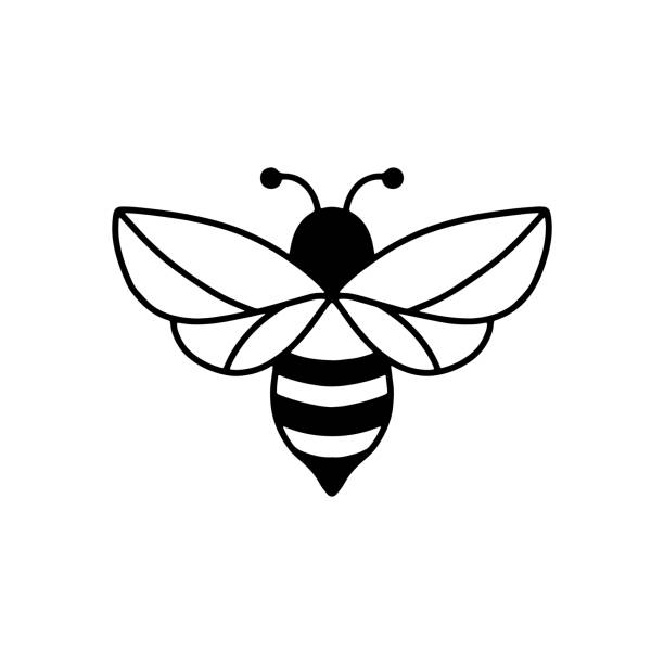 Bee icon. Outline drawing, isolated on white background. bee stock illustrations
