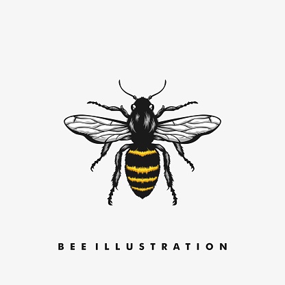 Bee Illustration Concept illustration vector Design template