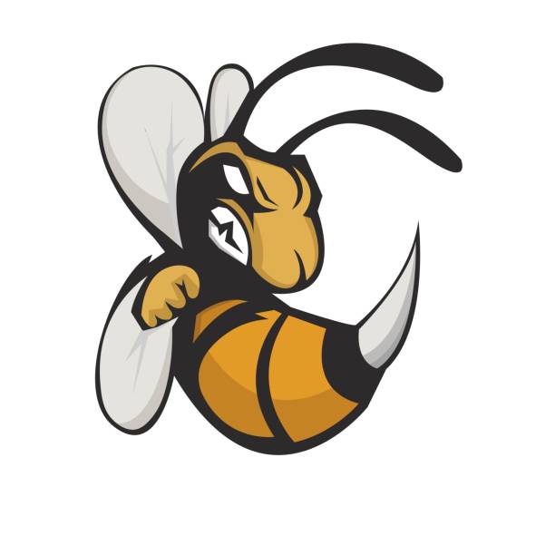 stockillustraties, clipart, cartoons en iconen met bijenmascotte - wespen