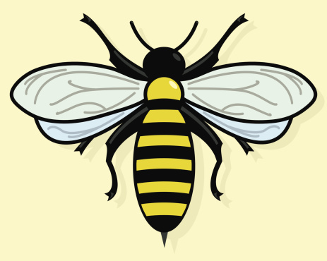 Simple illustration of a bee. EPS, Layered PSD, High-Resolution JPG included.
