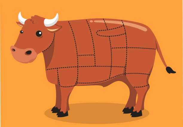 Beef Cuts Meat Steak Grill Cow Barbecue Butcher Beef Cuts Meat Steak Grill Cow Barbecue Butcher, vector illustration cartoon. corned beef stock illustrations