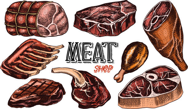 mięso wołowe, stek wieprzowy, noga z kurczaka, boczek i żeberka. dania z grilla w stylu vintage. szablony menu restauracji, emblematów lub odznak. szkic rysowany ręcznie - meatloaf stock illustrations
