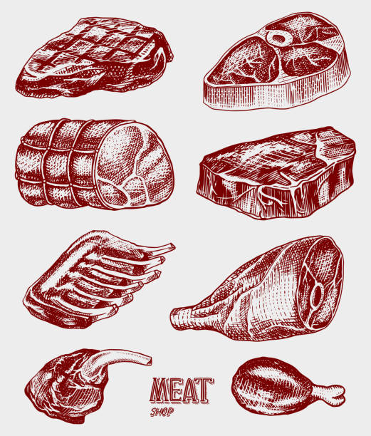 mięso wołowe, stek wieprzowy, noga z kurczaka, boczek i żeberka. dania z grilla w stylu vintage. szablony menu restauracji, emblematów lub odznak. szkic rysowany ręcznie - meatloaf stock illustrations