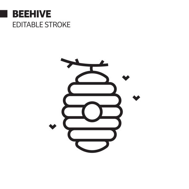 Beehive Line Icon, Outline Vector Symbol Illustration. Pixel Perfect, Editable Stroke.  beehive stock illustrations