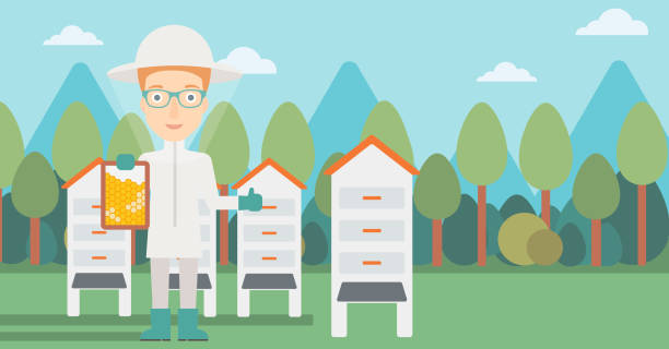 Bee-keeper at apiary A woman wearing protective suit holding a framework in hand and showing thumb up on the background of apiary vector flat design illustration. Horizontal layout. drone borders stock illustrations