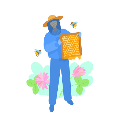A beekeeper harvests honey, holds a honeycomb frame, stands near flying bees and clover flowers. Honey farm.